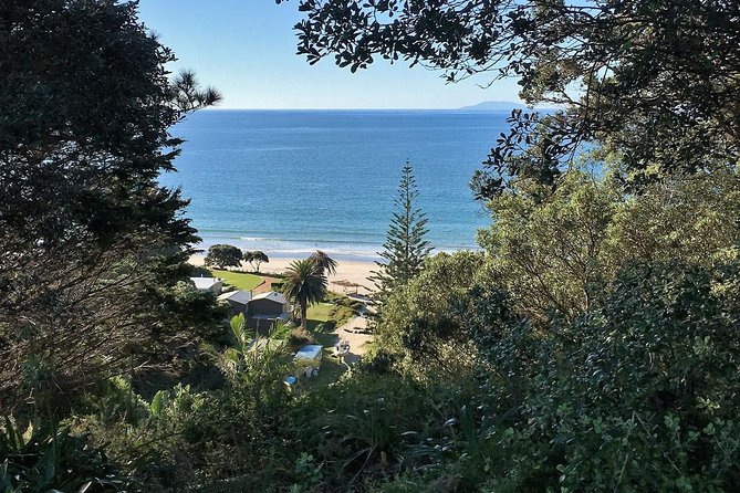 Waiheke Island Bush & Beach Walk - Who will get the most from this walk