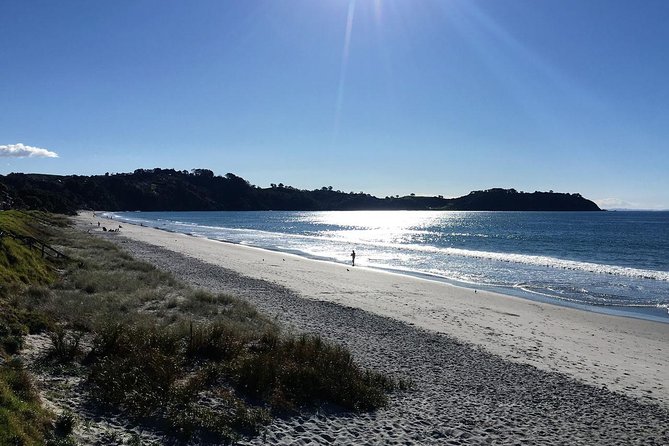 Waiheke Island Bush & Beach Walk - Following a guided route through native bush