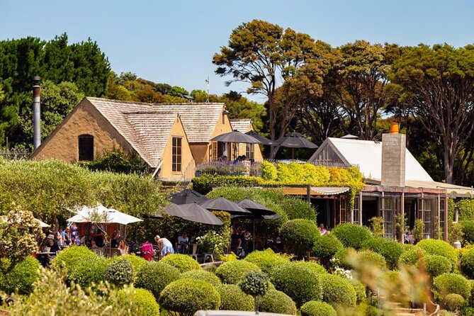 Waiheke Island Day Tour: Ziplining, Wine Tasting & Vineyard Lunch - EcoZip Adventures: three flights above the forest
