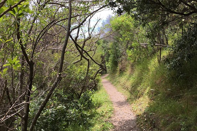 Waiheke Island Double Headland Coastal Walk - Church Bay and the changing coastal views