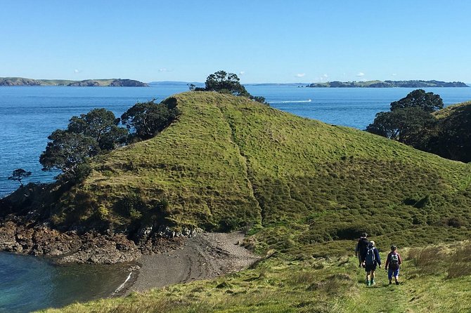 Waiheke Island Double Headland Coastal Walk - What the small group changes