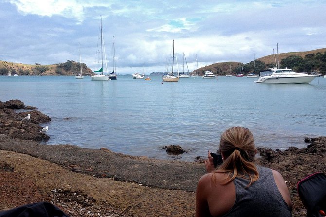 Waiheke Island Double Headland Coastal Walk - What the $260.64 price really covers