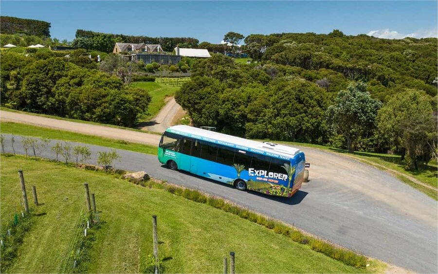 Waiheke Island: Ferry & Hop-On Hop-Off Explorer Bus Tickets - What the $59 price really buys you