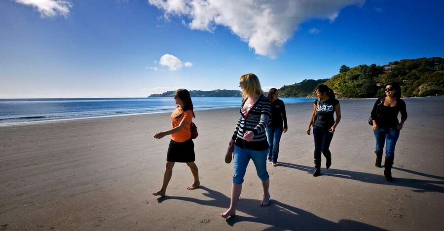 Waiheke Island: Ferry & Hop-On Hop-Off Explorer Bus Tickets - Winery stops at Batch, Mudbrick, Cable Bay, and beyond