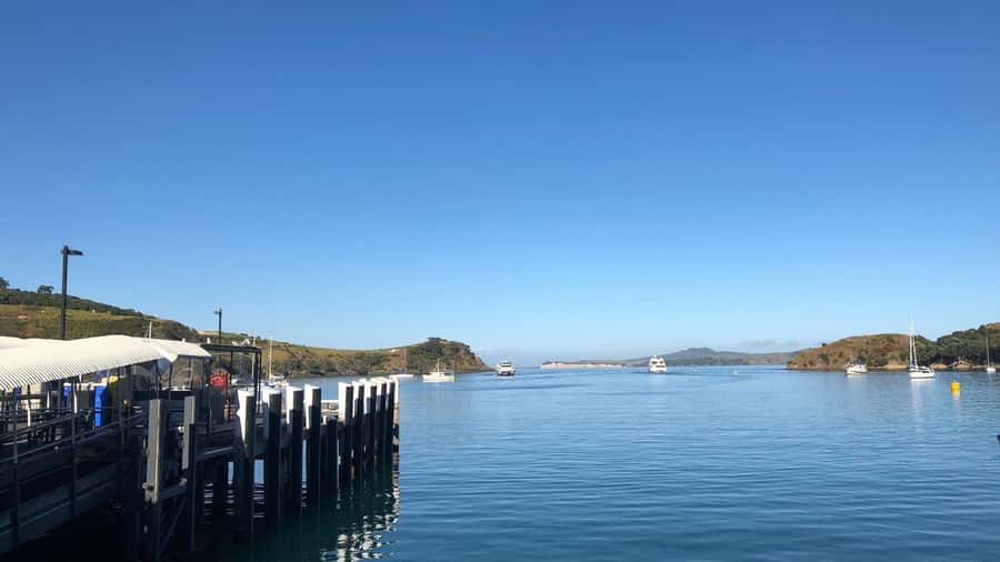 Waiheke Island Gourmet Food and Wine Tour with Platter Lunch - Three vineyards, three different tastes of Waiheke