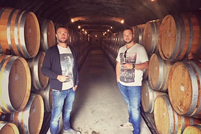 Waiheke Island Premium Wine Tour with Tastings - Is $111.30 good value?