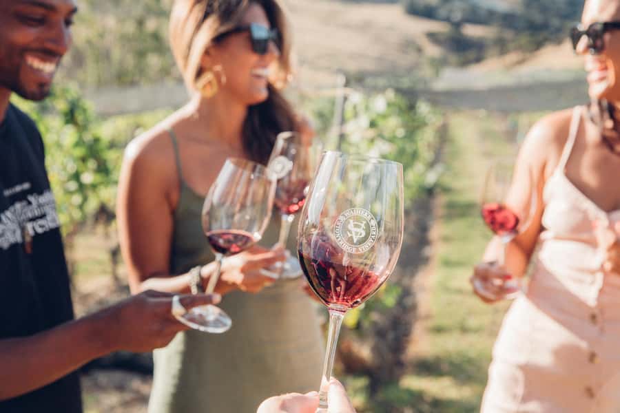 Waiheke Island: Scenic Island Wine Tour & Local Wine Tasting - Key points to know before you book