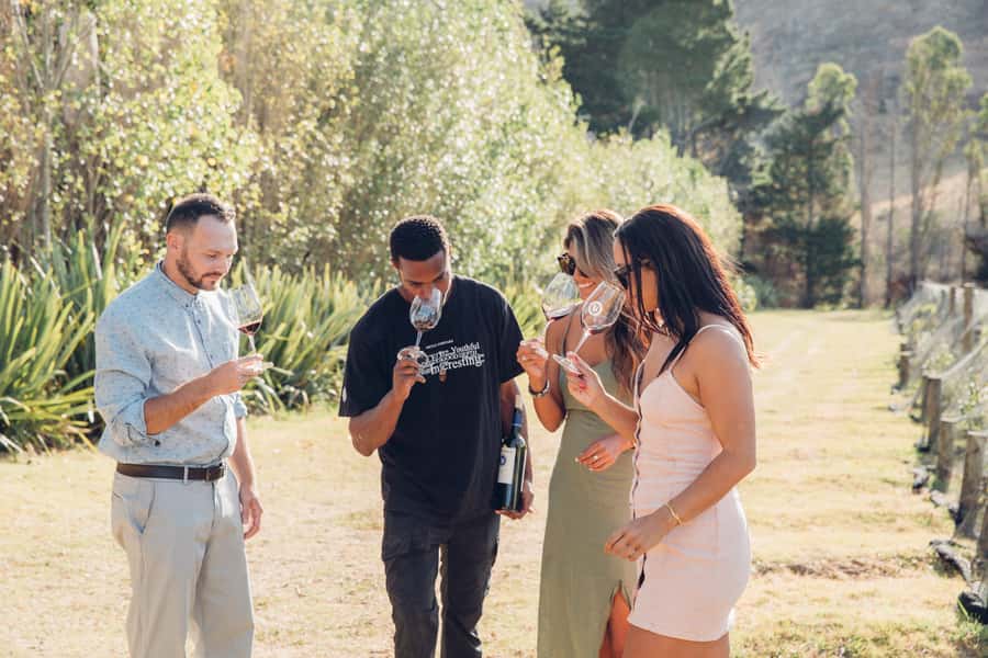 Waiheke Island: Scenic Island Wine Tour & Local Wine Tasting - Choosing between the 5-hour bus tour and double-decker outing