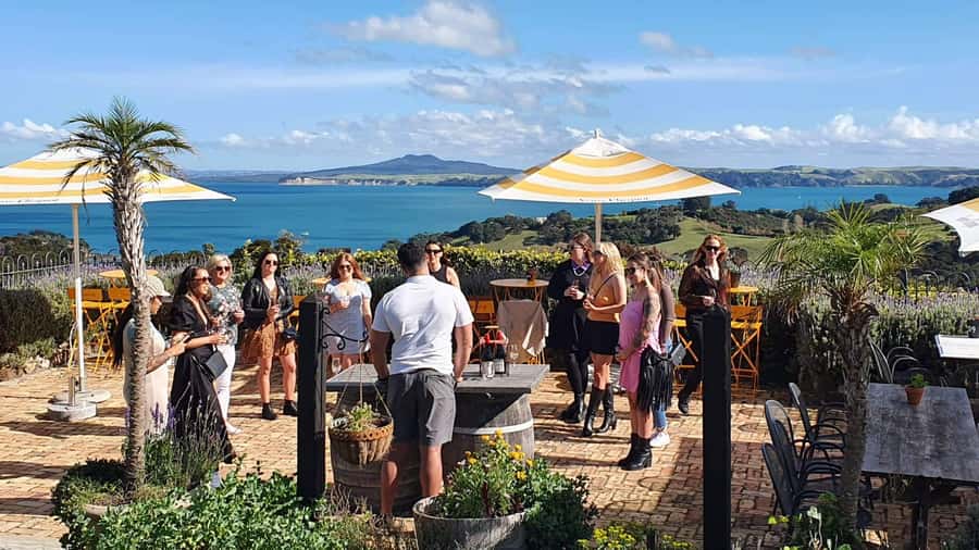 Waiheke Island: Scenic Island Wine Tour & Local Wine Tasting - A guided look at four Waiheke villages
