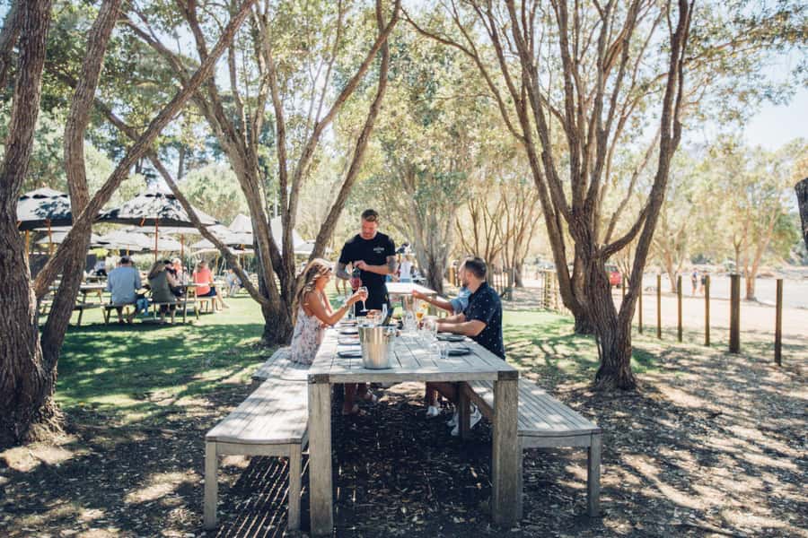 Waiheke Island: Scenic Island Wine Tour & Local Wine Tasting - The wineries: tasting, views, and different personalities