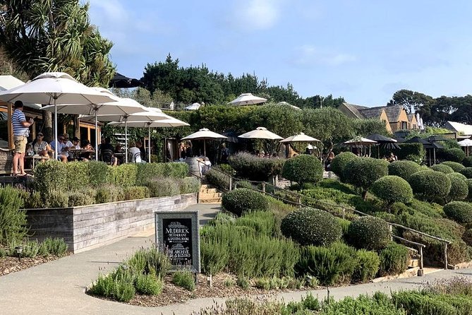 Waiheke Island Vineyards and Bush Walk - Starting at Matiatia and getting ready to walk