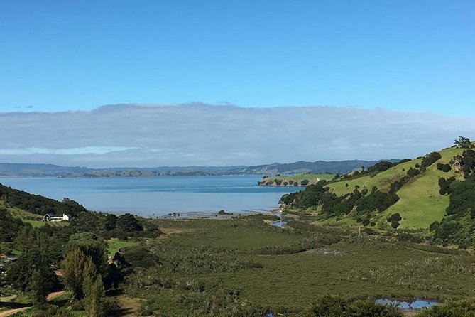 Waiheke Island Vineyards and Bush Walk - Wine tasting at Mudbrick or Cable Bay