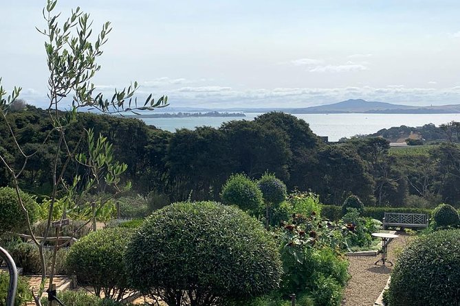 Waiheke Island Vineyards and Bush Walk - What the guides add to the experience