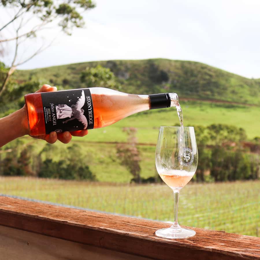 Waiheke Island: Wine Tour & Lunch at Award Winning Venue - Why this Waiheke wine tour works