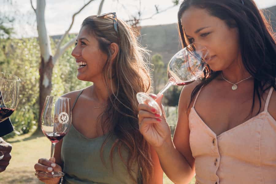 Waiheke Island: Wine Tour & Lunch at Award Winning Venue - Staying longer on Waiheke
