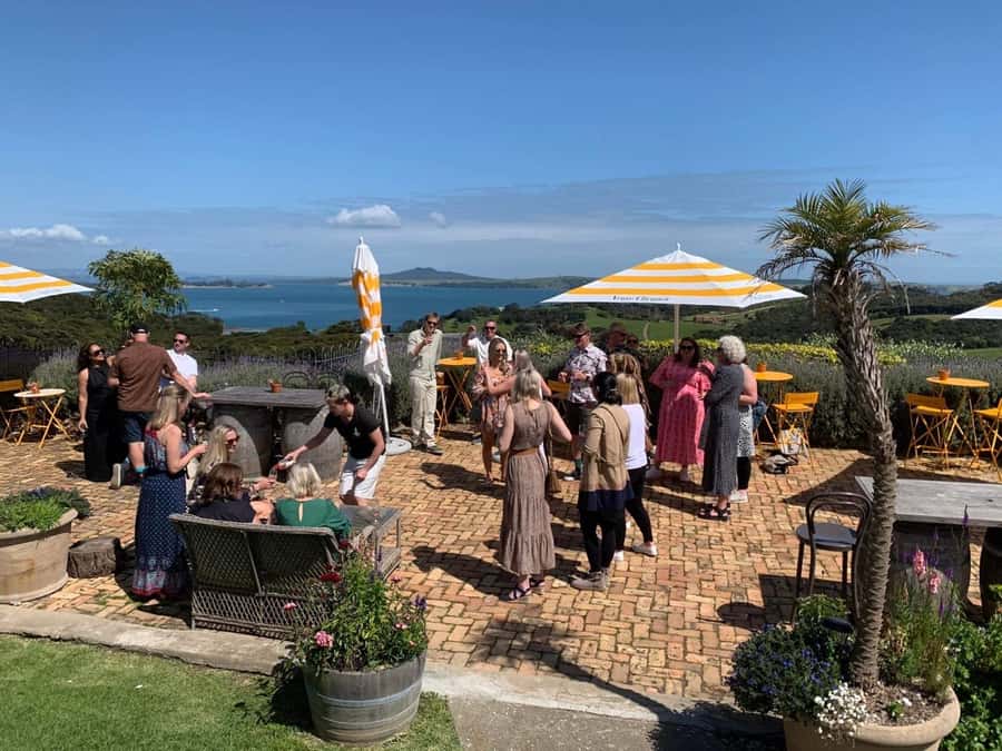 Waiheke Island: Wine Tour & Lunch at Award Winning Venue - Who should book this tour