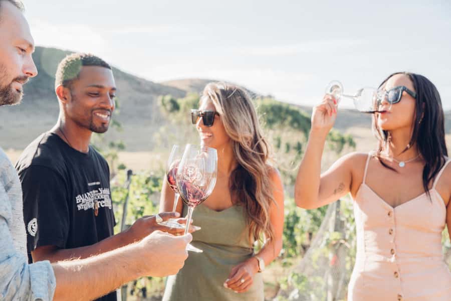 Waiheke Island: Wine Tour & Lunch at Award Winning Venue - The ferry from Auckland to Matiatia Wharf