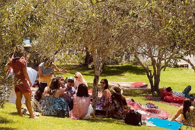 Waiheke Island Wine Tour with Tastings & Gourmet Beachfront Lunch - Why this is a smart half-day on Waiheke