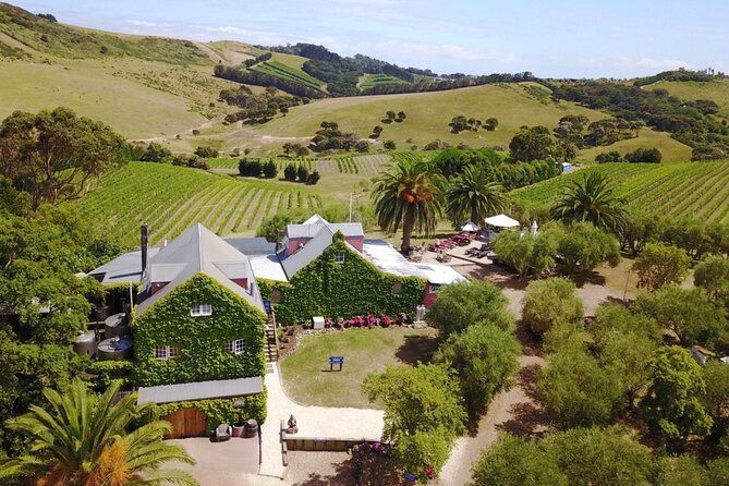 Waiheke Island Wine Tour with Tastings & Gourmet Beachfront Lunch - Stonyridge and the feel of a wine estate