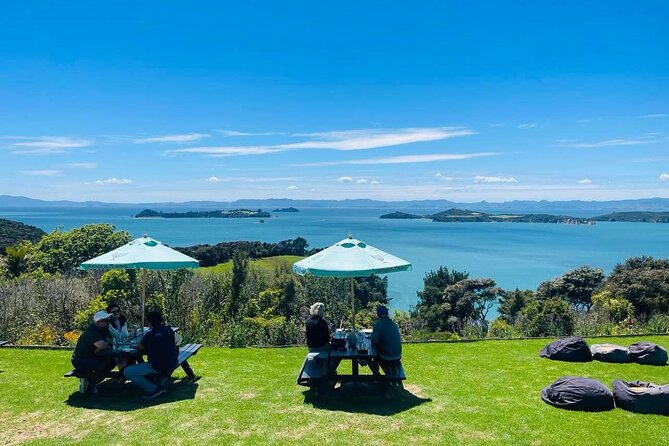 Waiheke Island Wine Tour with Tastings & Gourmet Beachfront Lunch - What the drives add to the experience