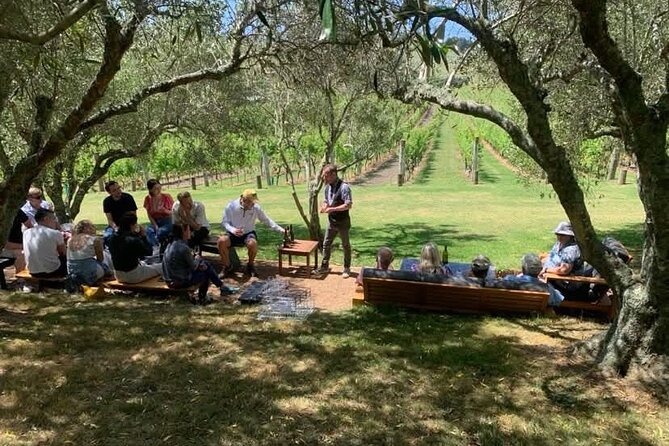Waiheke Island Wine Tour with Tastings & Gourmet Beachfront Lunch - Wine, food, and the overall pace