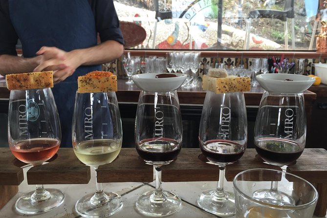 Waiheke island Wine Tours - PREMIUM wine tasting MAX 11 clients ! - Why this tour works as a first day on Waiheke