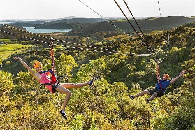 Waiheke Island: Zipline And Forest Walk - What the three-hour timing really includes