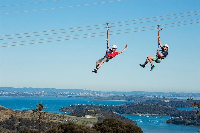 Waiheke Island: Zipline And Forest Walk - Price, ferry costs, and overall value