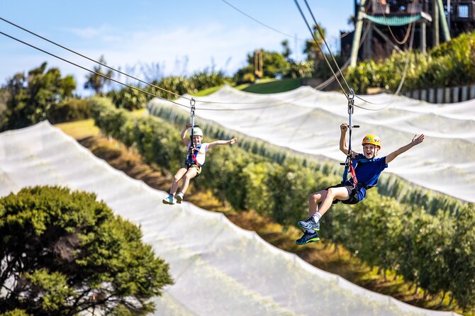 Waiheke Island: Zipline And Forest Walk - Who will enjoy EcoZip most