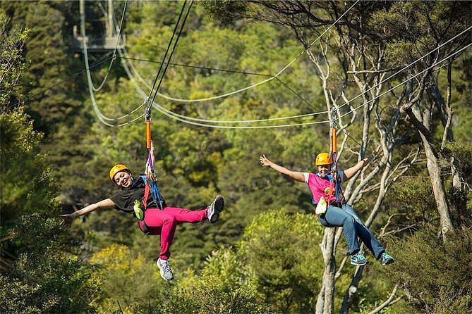 Waiheke Island: Zipline And Forest Walk - Practical details that can save your day