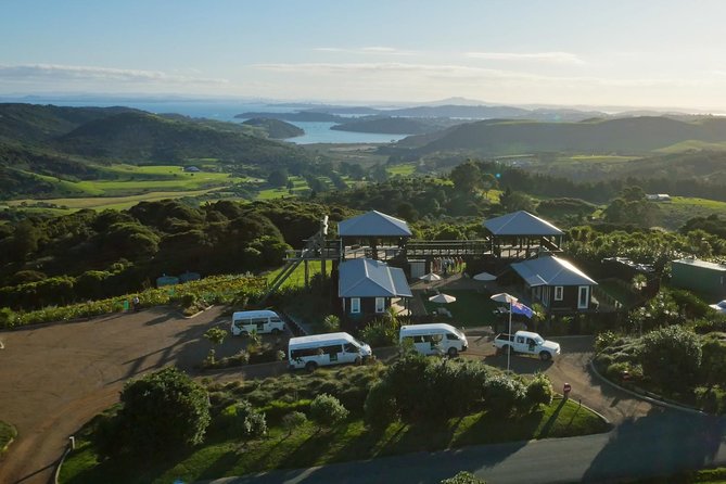 Waiheke Island: Zipline And Forest Walk - Trig Hill gives you the big Waiheke picture