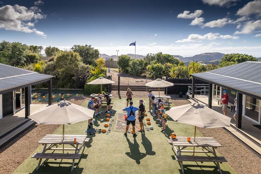 Waiheke Island: Zipline and Native Forest Adventure Trip - The 25-minute forest walk back