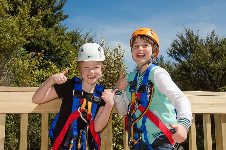 Waiheke Island: Zipline and Native Forest Adventure Trip - How much value do you get for $89?