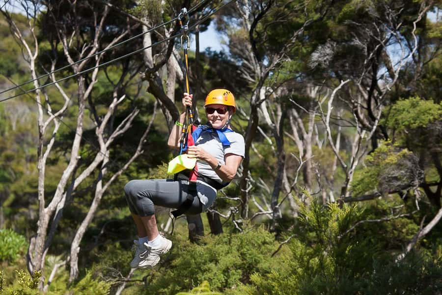 Waiheke Island: Zipline and Native Forest Adventure Trip - Who will enjoy this most?
