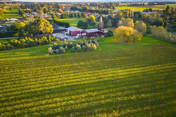 Waipara Valley Winery Tour Wine Tastings and Scenic Views - A few practical points that matter