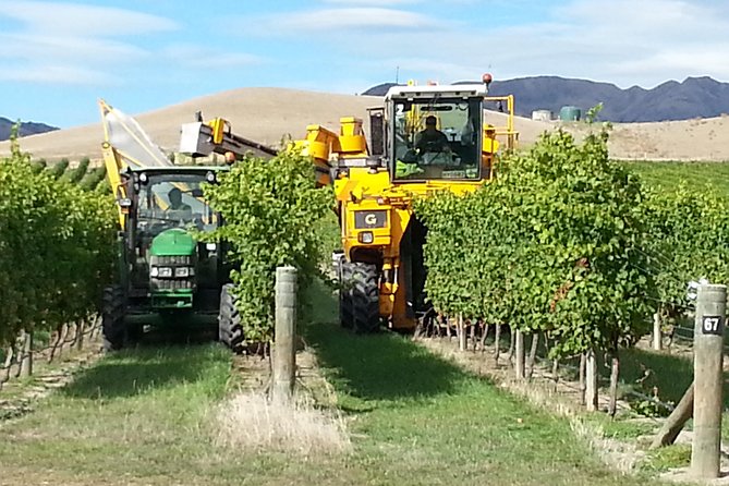 Waipara Wine Tour from Christchurch - including Lunch & Tastings - What the guide adds to the day