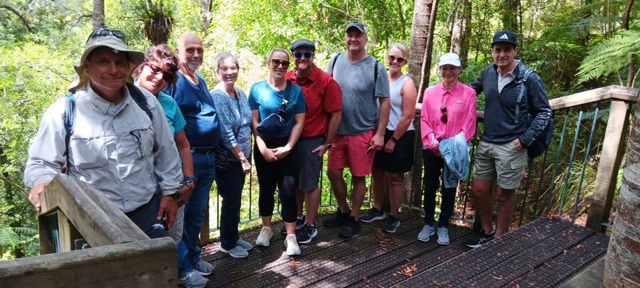 Waitangi: Kawiti Glow Worm Cave & Opua Kauri Forest Walk - What the $141 price buys you