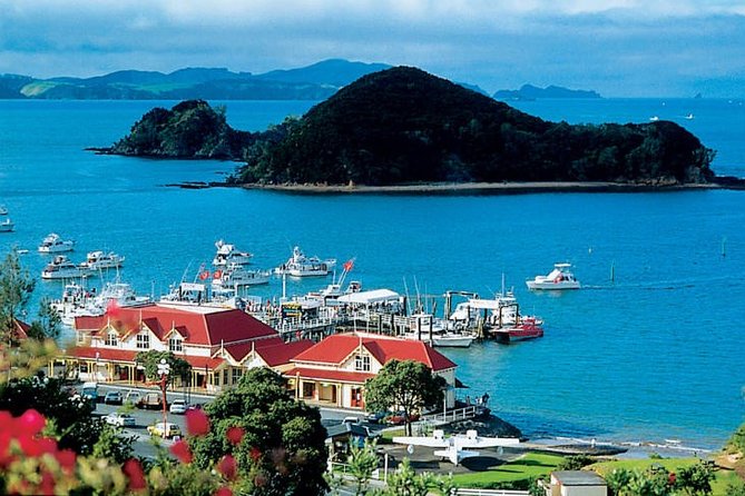 Waitangi Treaty Ground Day Trip Private Transport From Auckland - Key points to know before booking