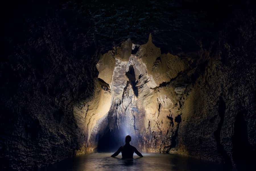 Waitomo Caves: Labyrinth Black Water Rafting Experience - Emerging into the Waitomo forest