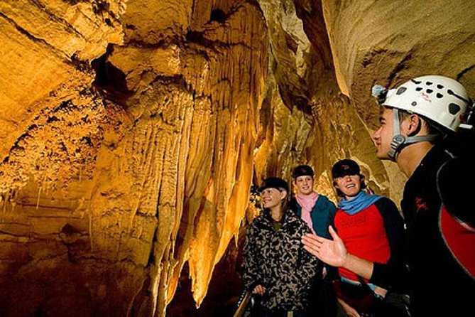 Waitomo Caves Private Driver for Tour - Free time around the cave reserve