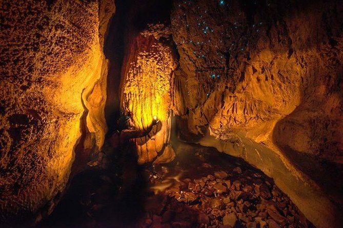Waitomo Caves Private Tour from Auckland - Why the Waitomo Glowworm Caves are worth the long ride
