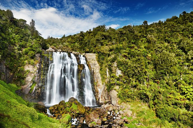 Waitomo Caves Private Tour from Auckland - What guide Bob adds to the day