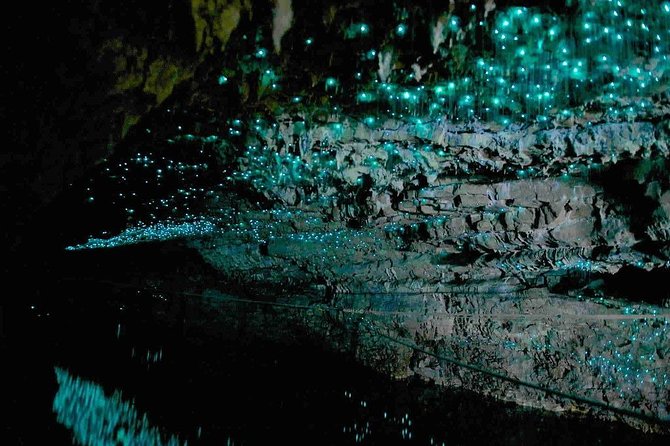 Waitomo Caves Private Tour from Auckland - Is $216.58 per person good value?