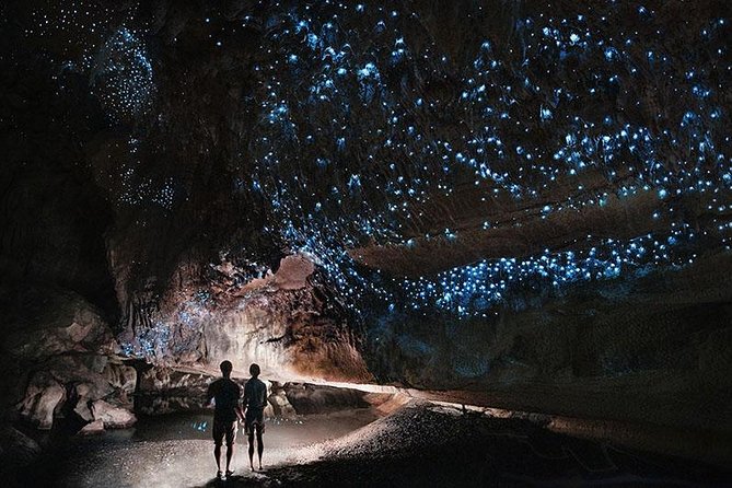 Waitomo Caves Private Tour from Auckland - Leaving Auckland for an eight-hour private outing