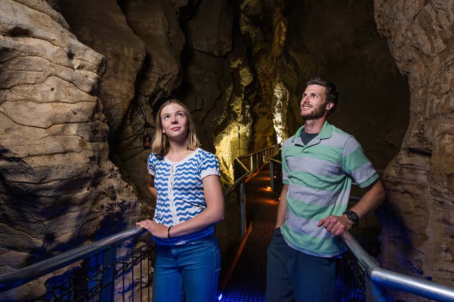 Waitomo Caves: Ruakuri Cave 1.5 Hour Guided Tour - Key points to know before you book