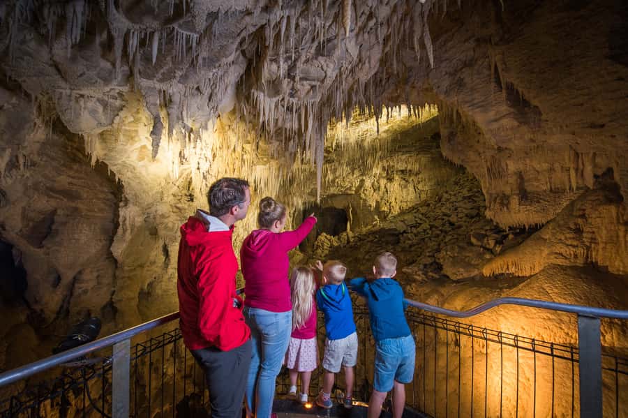 Waitomo Caves: Ruakuri Cave 1.5 Hour Guided Tour - Add the free Ruakuri Bush Walk