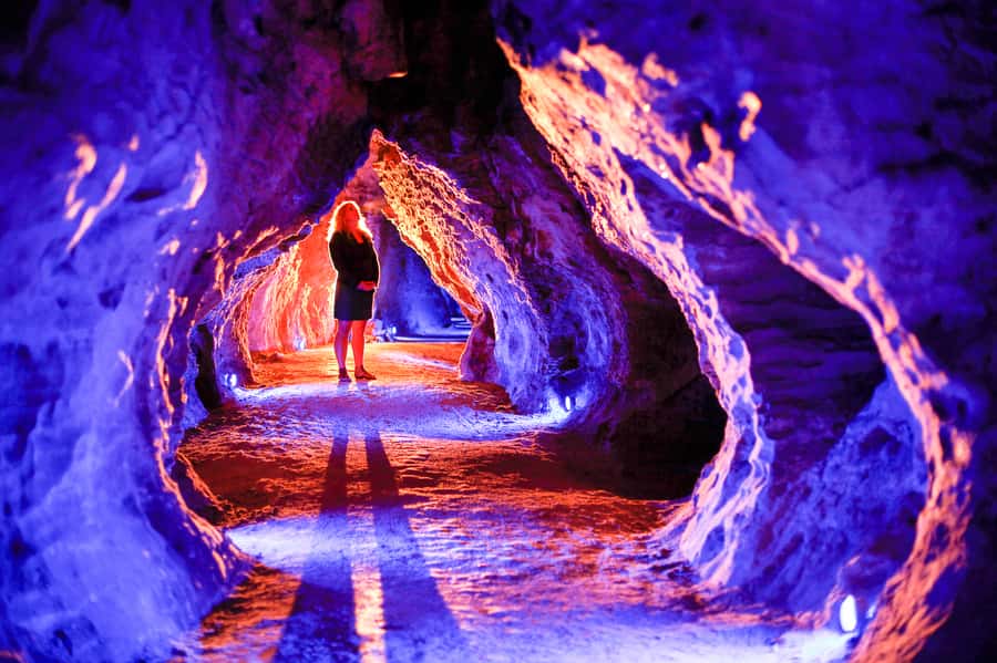 Waitomo Caves: Ruakuri Cave 1.5 Hour Guided Tour - Holdens Cavern and the story beneath the rock