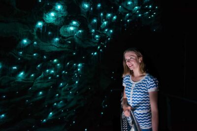 Waitomo Caves: Ruakuri Cave 1.5 Hour Guided Tour