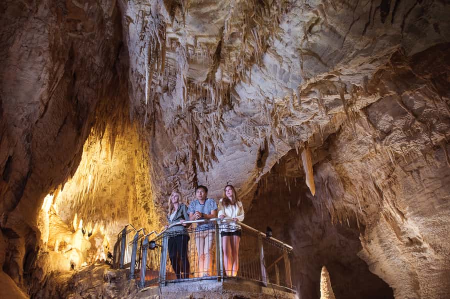 Waitomo Caves: Ruakuri Cave 1.5 Hour Guided Tour - The Pretties and the cave’s limestone details