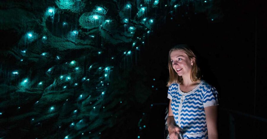 Waitomo Caves: Ruakuri Cave 1.5 Hour Guided Tour - Is the 66 dollar price fair?